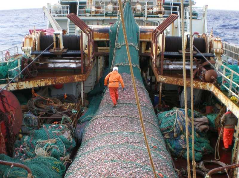Trawler with illegal catch